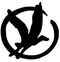 Rising Bird Healing Arts