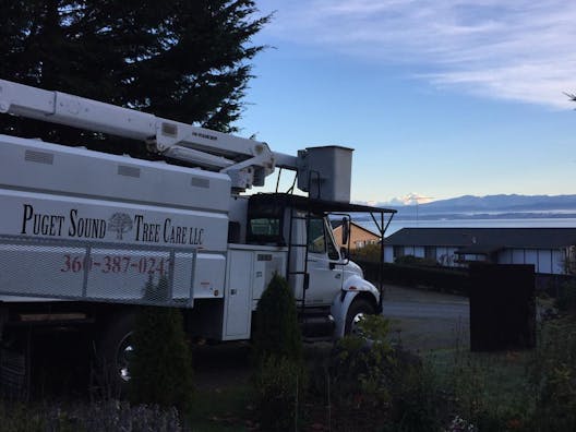 Puget Sound Tree Care